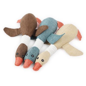 Dog Squeak Toys 1