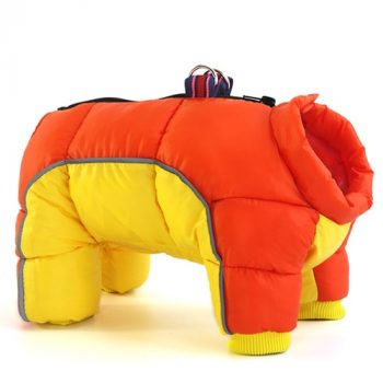 Winter Dog Jacket 1